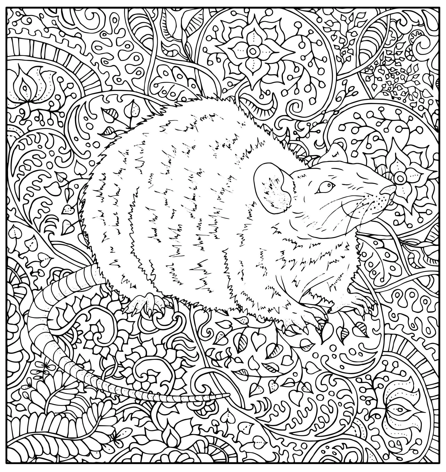 Coloring book rat among antistress flowers